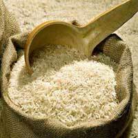 Milled Raw Basmati Rice