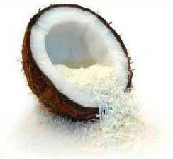 desiccated coconut