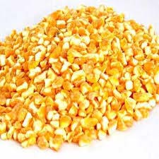 Broken Maize, for Animal Food, Cattle Feed, Style : Dried