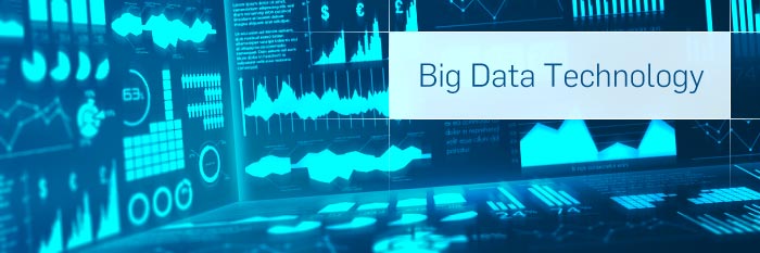 Big Data Service