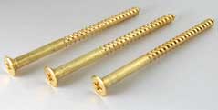 Brass Wood Screw (75 x 10 (1))
