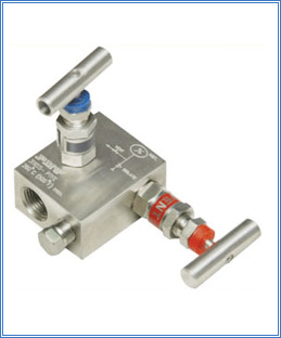 2 Way Manifold Valve