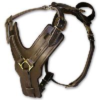 Leather Harness