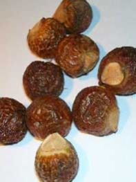 Sapindus Brown Organic Soap Nut