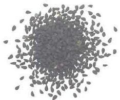 Oregano Seeds
