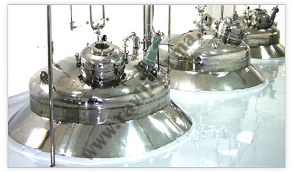 Automatic Liquid Process Plant