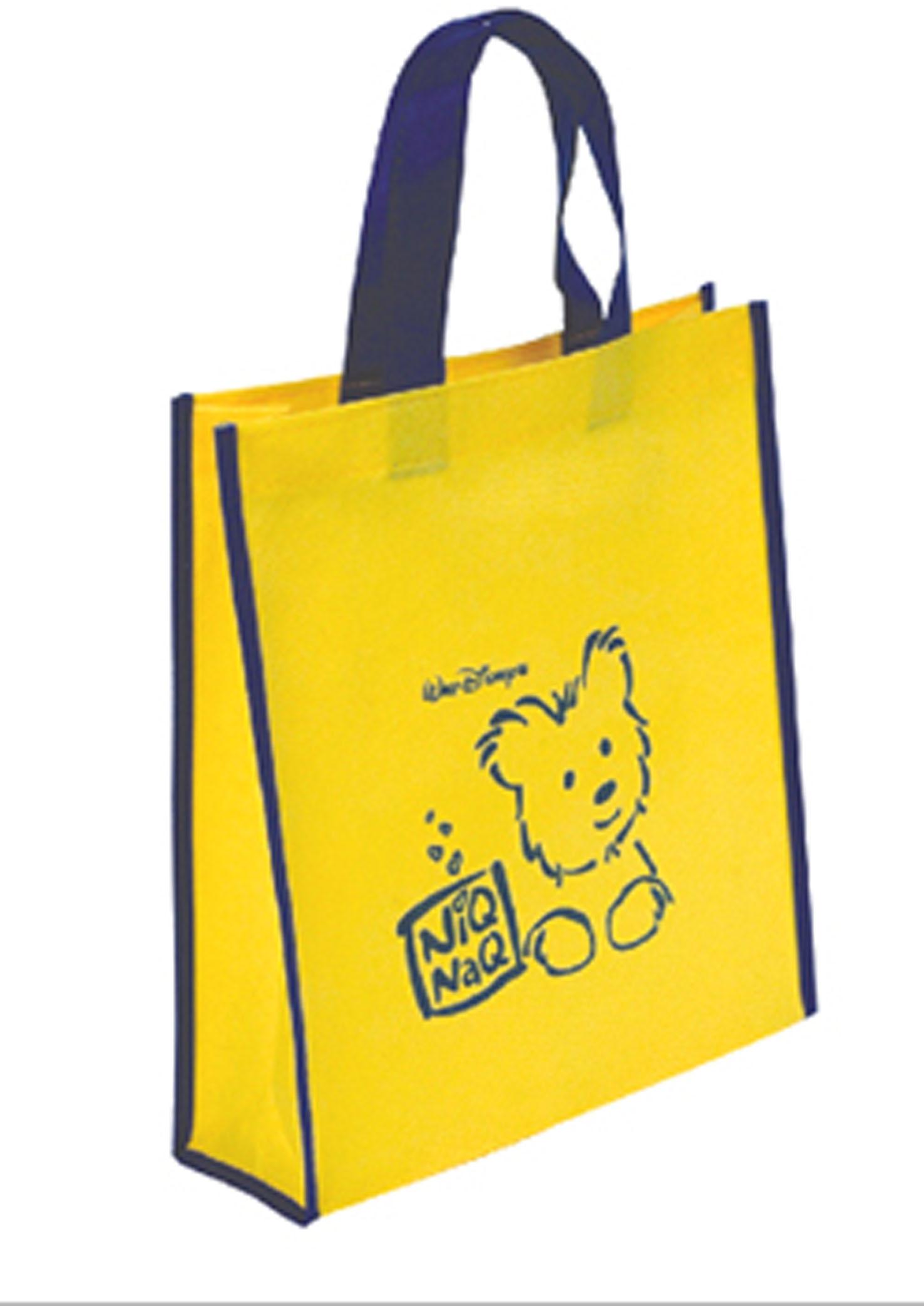 Fancy discount shopping bags