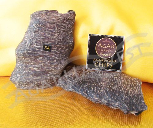 Agarwood-Oudh-Gaharu-دهن العود-沈香 Chi