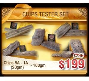 Promotion Chips Tester Set