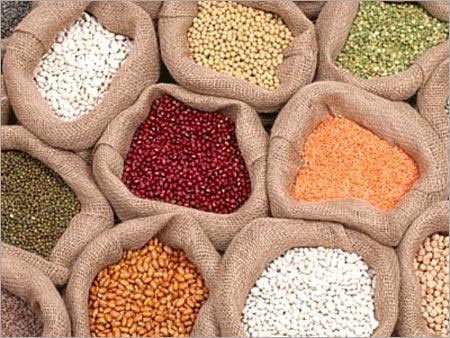Pulses Seeds