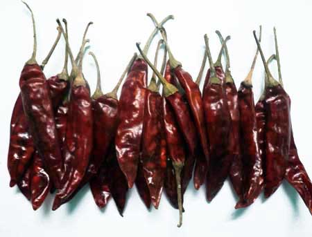 dried red chilli