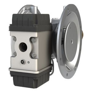 Center Section Pumps