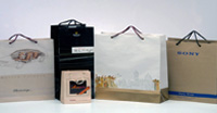 Paper Bags Printing Services