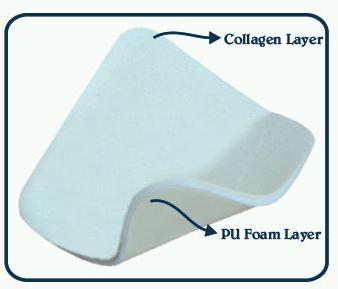 BioFil Sterile Collagen Absorbent Foam Dressing