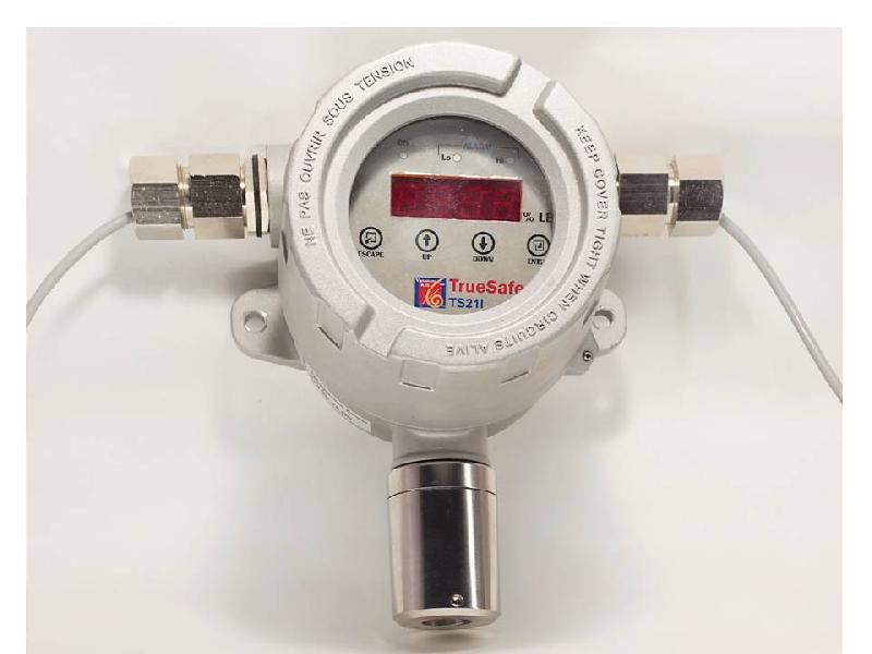 Industrial Electrochemical Type Gas Leak Detectors TS21I ELE