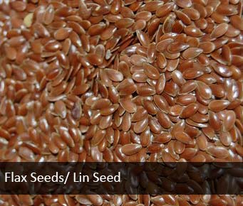 Flax Seeds/ Lin Seed