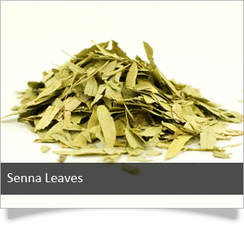 Senna Leaves at best price in Mumbai Maharashtra from Phinix ...