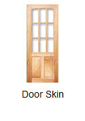Door skin