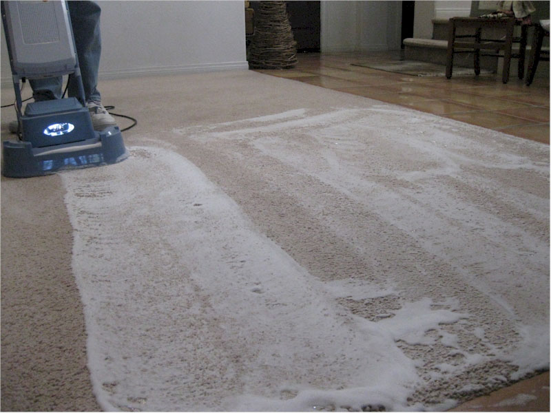 Verus Carpet Cleaner Concentrate