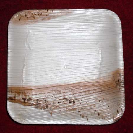 Areca leaf plate