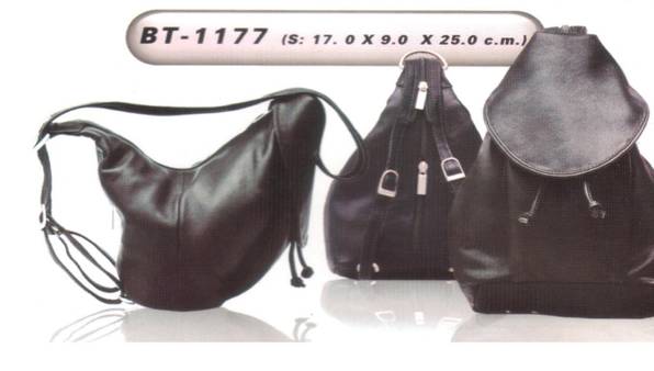 Backpacks (BT-1177)