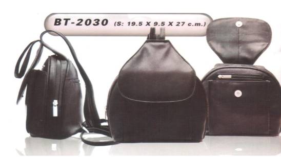 Backpacks (BT-2030)