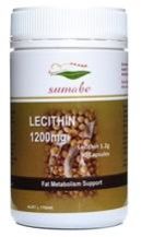 Lecithin powder