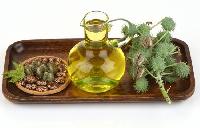 Castor seed oil, Feature : Quality Assured