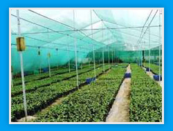 Agro Shade Net