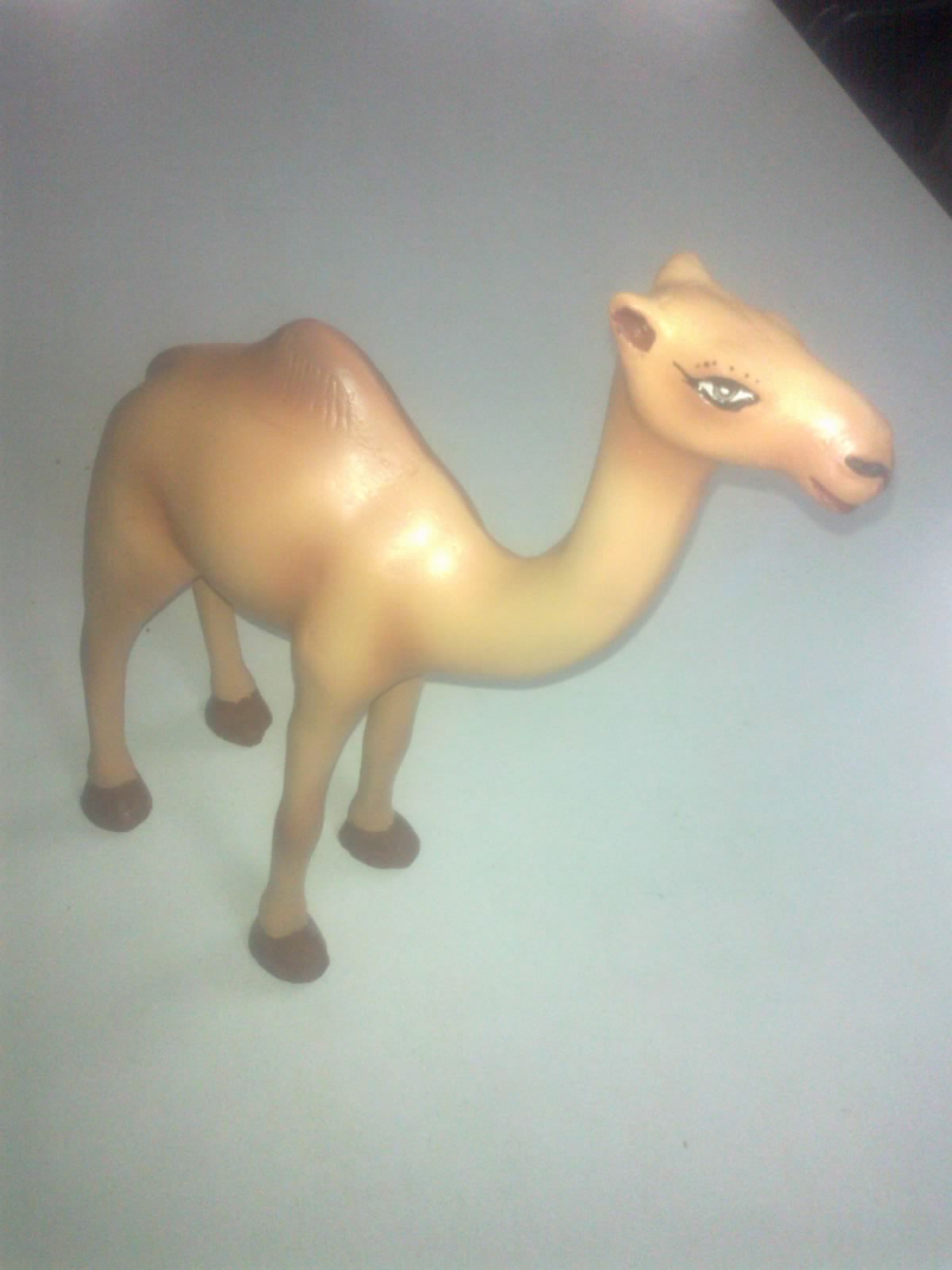 Camel Model