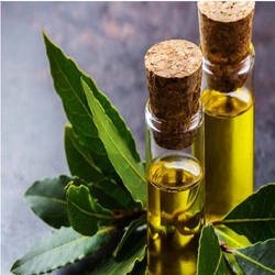Bay Leaf Oil, for Cosmetics Use, Medicinal Purpose, Packaging Type : Glass Bottle