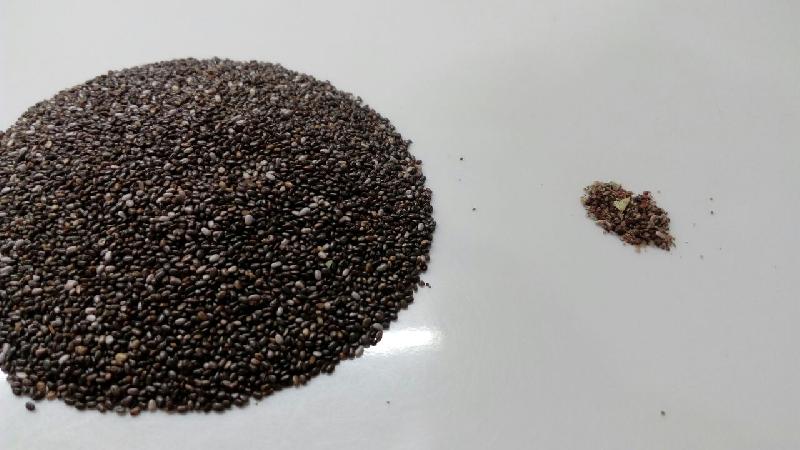 Organic Chia Seeds, for super food, Purity : 100%