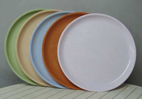 Plastic Catering Plate