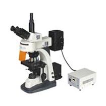 JF100 Fluorescence Microscope