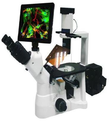 LCD Screen Microscope