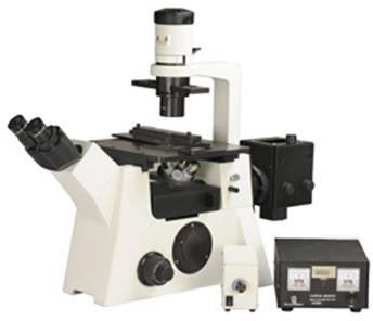 TF500 Tissue Culture Microscope