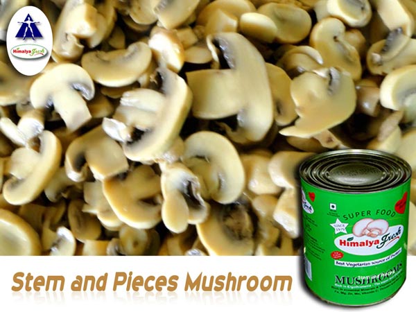 Canned Pieces & Stem Mushroom