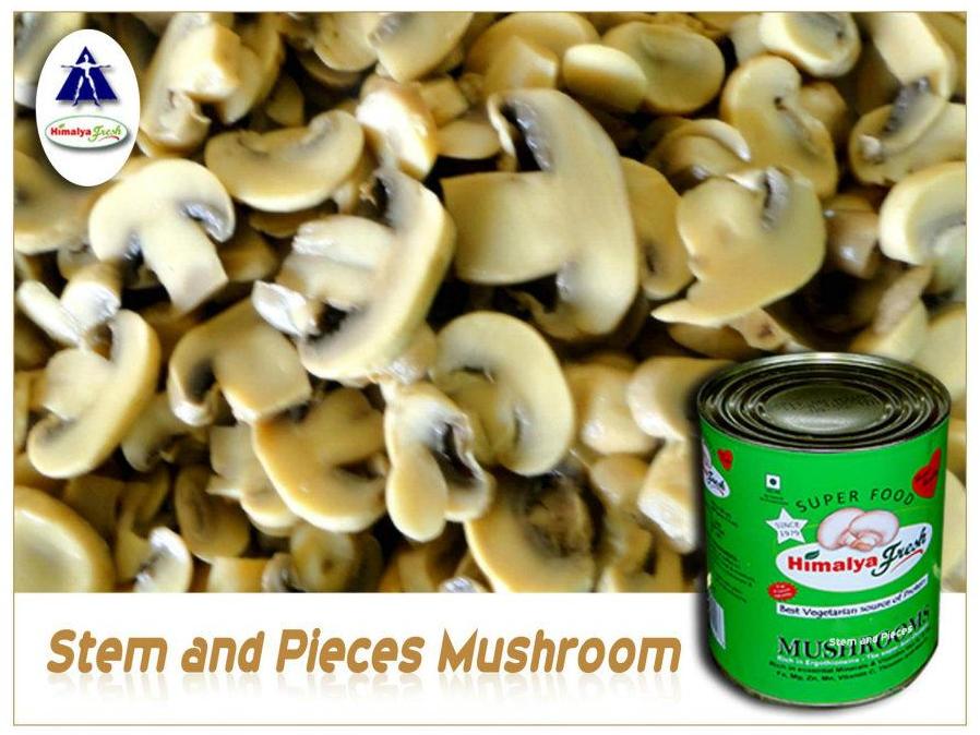 Stem and Pieces Mushroom