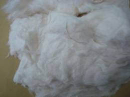 Cotton comber noil waste, for socks, towels, t-shirts, bed sheets underwear, home furnish
