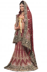 Designer Lehnga Suits