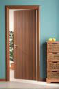 KESAR GOLD Flush Door Shutter