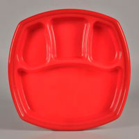 TF Shape Acrylic Dinner Plate