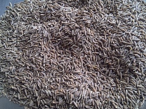 cumin seeds