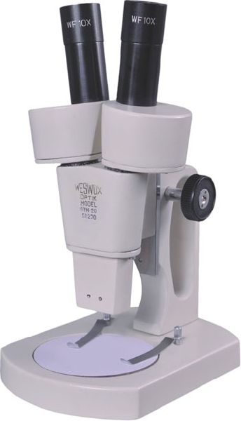 Stereoscopic Microscope