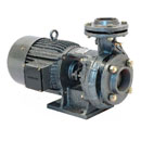 Monobloc Pumpsets