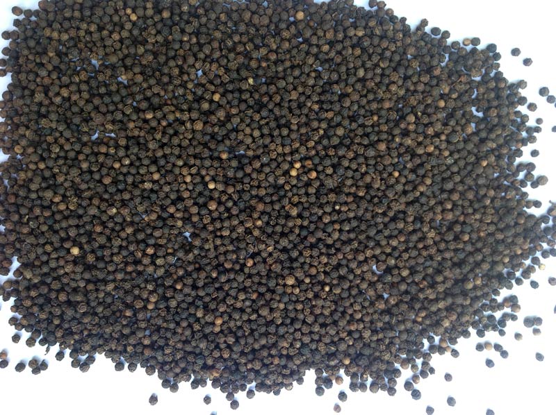 Black Pepper Seeds