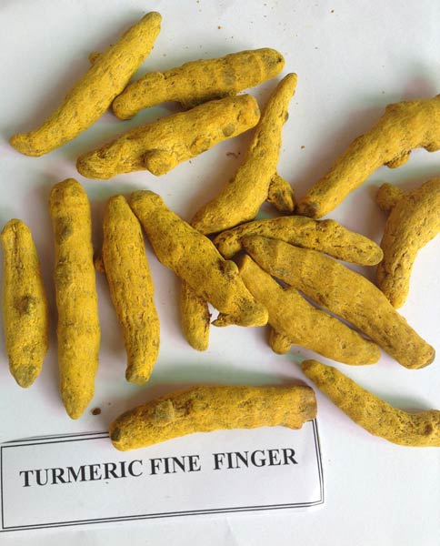 Turmeric Fingers