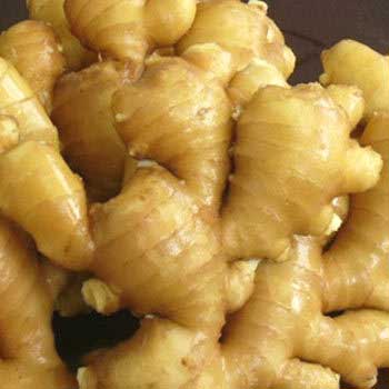 Organic Fresh Ginger, for Cooking, Feature : Handpicked from the farm, High quality packaging, Reasonable Price