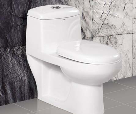 One Piece Water Closet