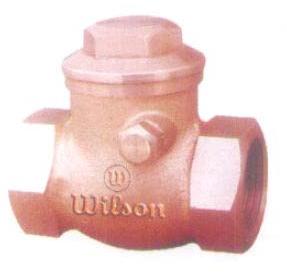 Swing Check Valve